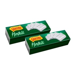 [2395] Pastilha Garoto Hortelã 17 G